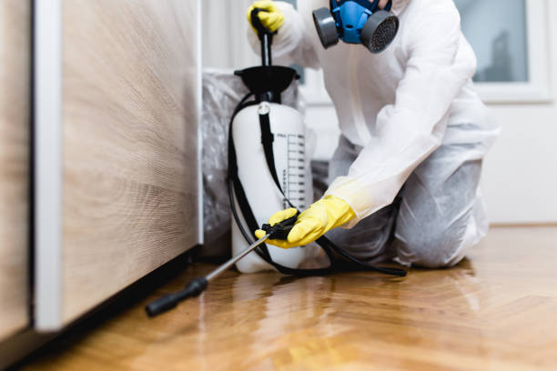 Professional Pest Control in Emigsville, PA