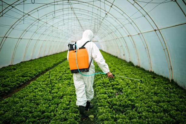 Pest Control for Restaurants in Emigsville, PA