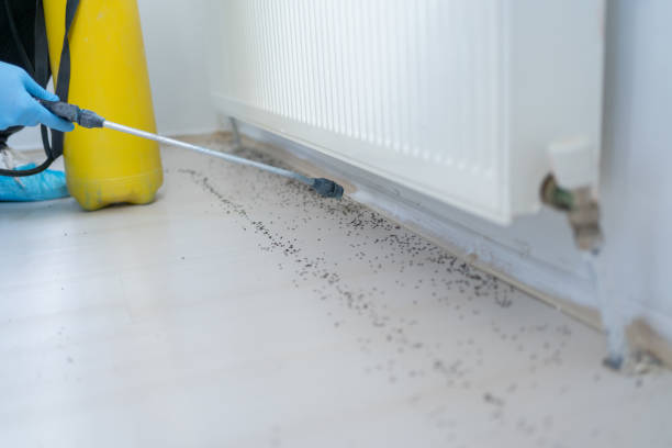 Best Pest Removal Services  in Emigsville, PA