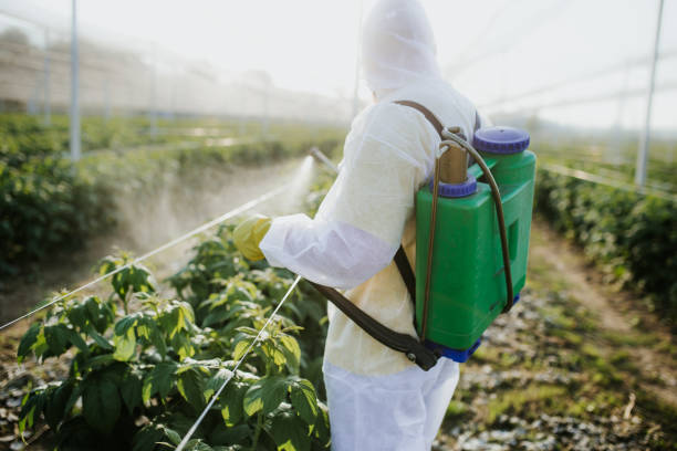 Flea Control Services in Emigsville, PA